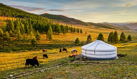 外蒙古、貝加爾湖－悠悠草原與西伯利亞藍眼睛