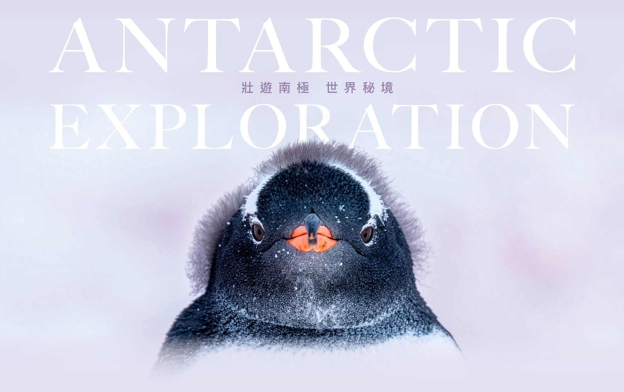北極發表會