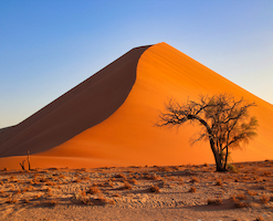 納米比亞-前進「非洲縮影」、走訪淳厚部落