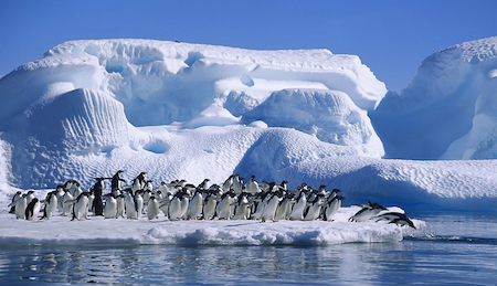 2024遠征南極到赤道．南喬治亞島、南極半島、加拉巴哥 極致30日