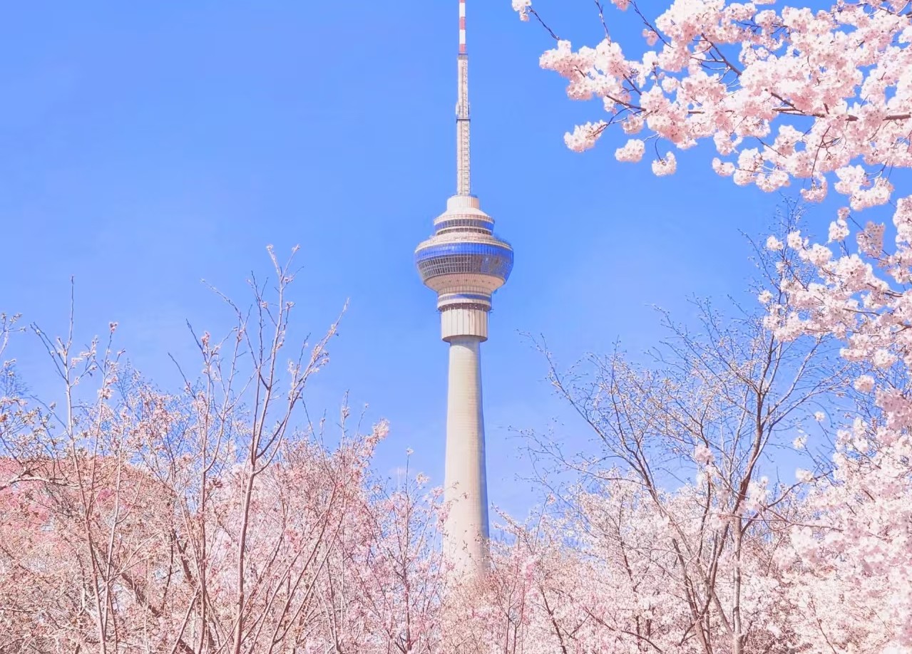 測試中：北京．承德．天津．秦皇島~玉淵潭賞櫻10日