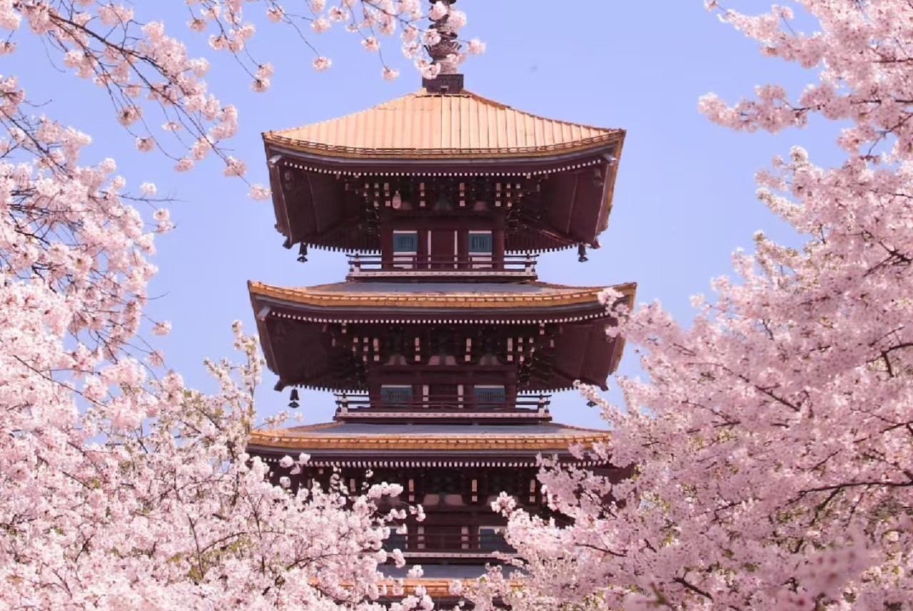 晴友讀中：張家界.恩施大峽谷.重慶~武漢櫻花季11日